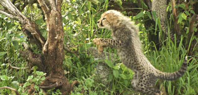 NAIROBI NATIONAL PARK