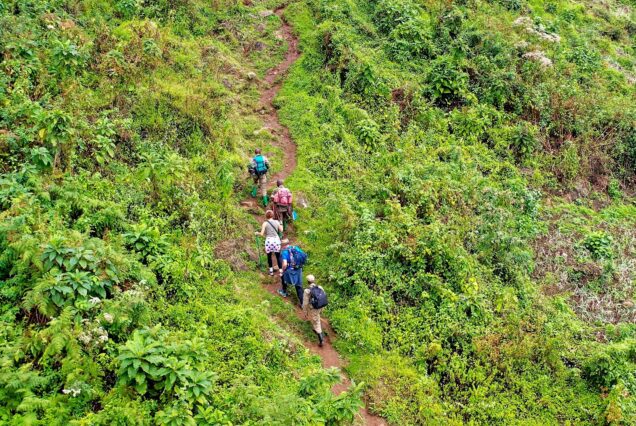 Sipi Falls Hike and Safari: 5-Day Adventure
